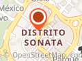 Wild Dog Sonata