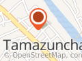 Afimex Tamazunchale