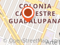 APPI Atención Psicológica Profesional e Inclusiva