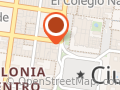 La Imagen del Rinoceronte