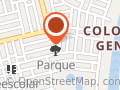 Pintumex