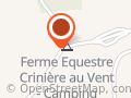 Crinière au Vent