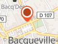 B.optique
