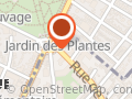 LA CIVETTE DES PLANTES