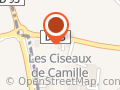 Les Ciseaux de Camille