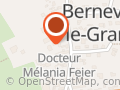 DR VINTILESCU