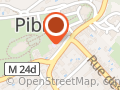 Association des Professionnels de Pibrac