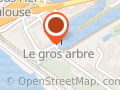 Le gros arbre guinguette