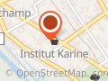 L Institut de Karine