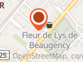 Fleurs de Lys de Beaugency