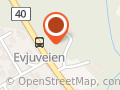 Liv Irene Skinnes Nerlien