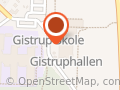 Støtteforeningen Idrætsvenner