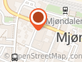 Frøken Mina As