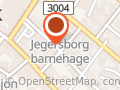 Roar Berg