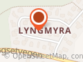 Lønsethagen Chiptuning
