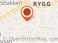 Erling Rygh
