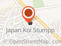 Japan Koi Stumpp