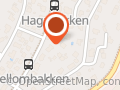 Birkelund Winny R