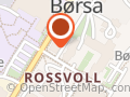 Børsa Blomster AS