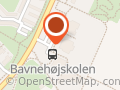 Bavnehøjskolen