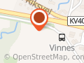 Vinnes Gustav