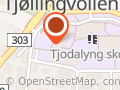 Tjodalyng skole