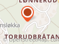Guttulsrud E-Economica