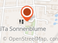 KITA Sonnenblume