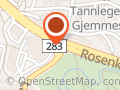 Registrert Revisor Ole Gustav Sannes AS