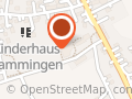 Sportfreunde Rammingen e.V.