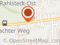 Hille Nestler