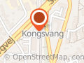 Kongsvang Station