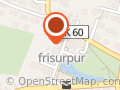 frisurpur