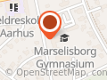 Festforening Marselis