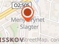 Metakognitiv terapi ved Natascha Wermuth