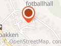 Ringerike Anleggstransport AS