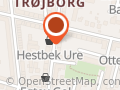 Psykolog Liv Brøgger