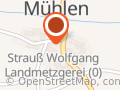Wolfgang Strauss