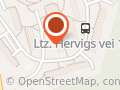 Trine-Lise Hannevik