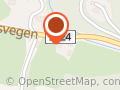 Steinar Arne Ringen