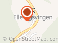 Steinar Ellevog
