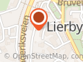 Kiwi Lierbyen