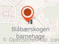 Blåbærskogen Barnehage