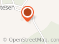 Stine M Gøtesen Rideinstruksjon