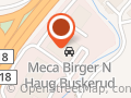 Birger N. Haug Drammen