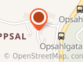 Thorstein Opsahl