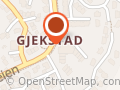 Joker Gjekstad