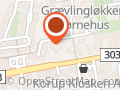 Hjernesagen I Odense og Nordfyn