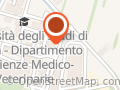 Club Alfa Matta - Parma