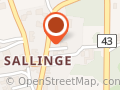 Sallinge Autolakering